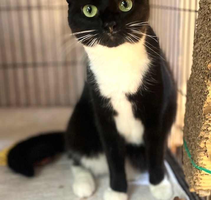 Photo of BONNIE
