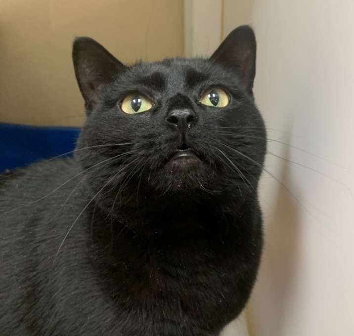Photo of Lilith