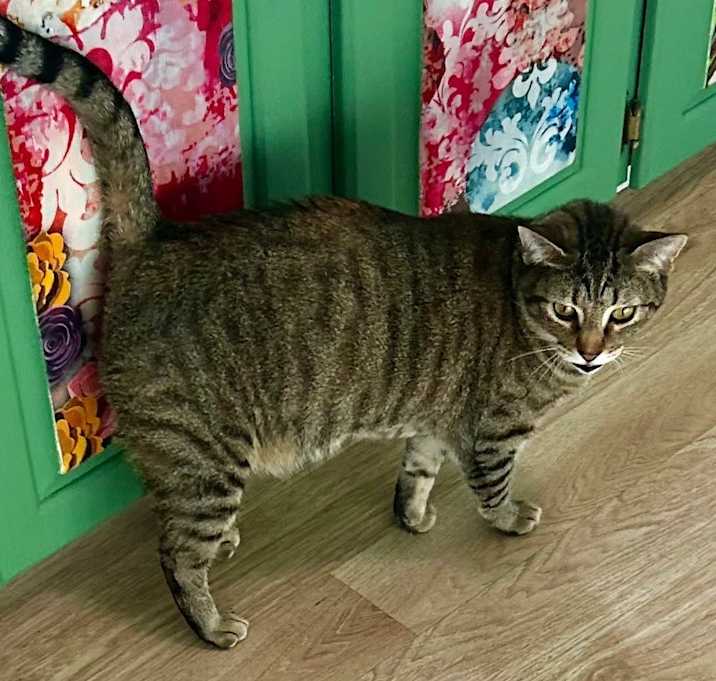 Photo of Precious