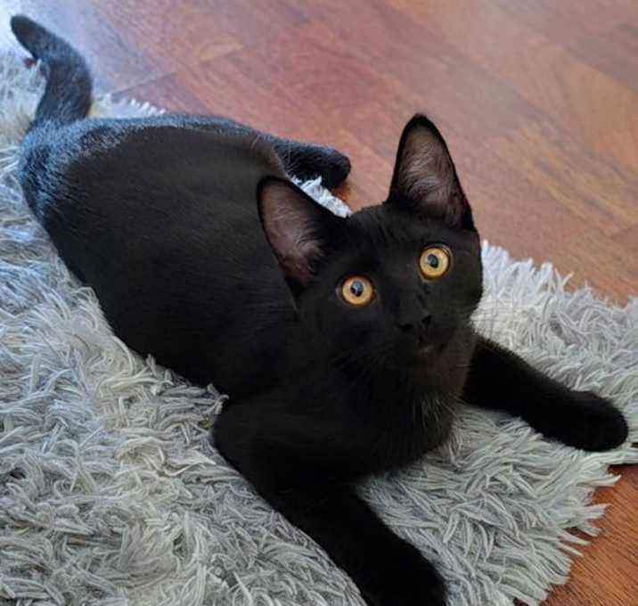 Photo of Sailor