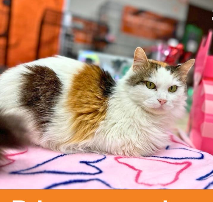 Photo of Agnes