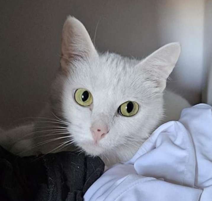 Photo of Bonnie