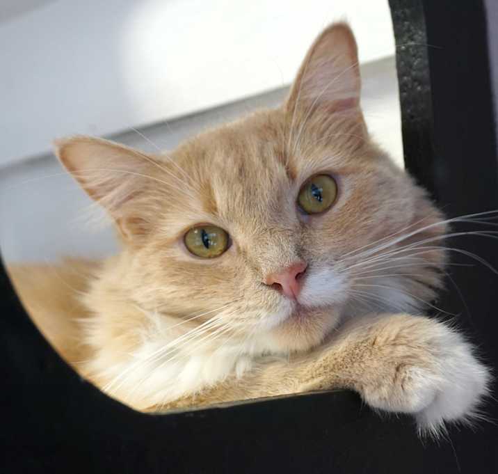 Photo of Mazee