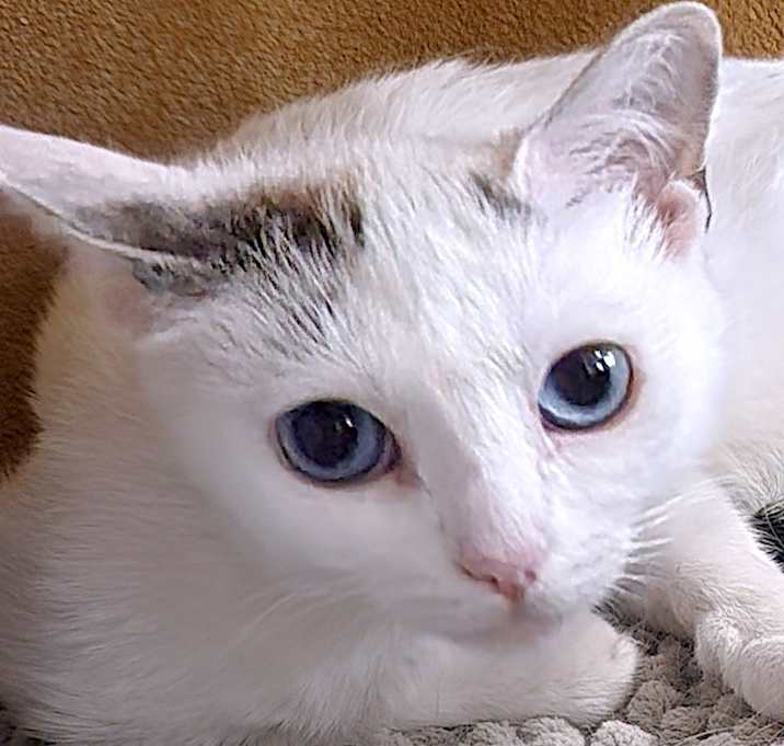 Photo of LUNA