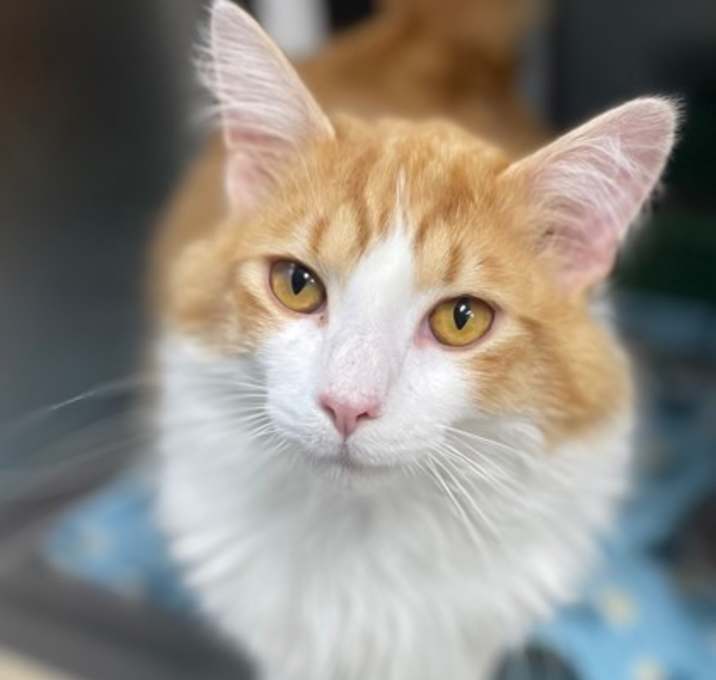 Photo of Murphy