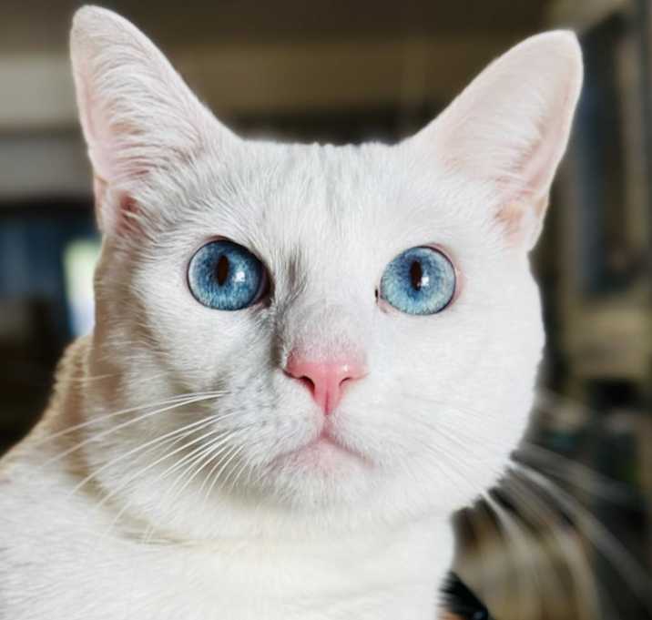 Photo of Frosty