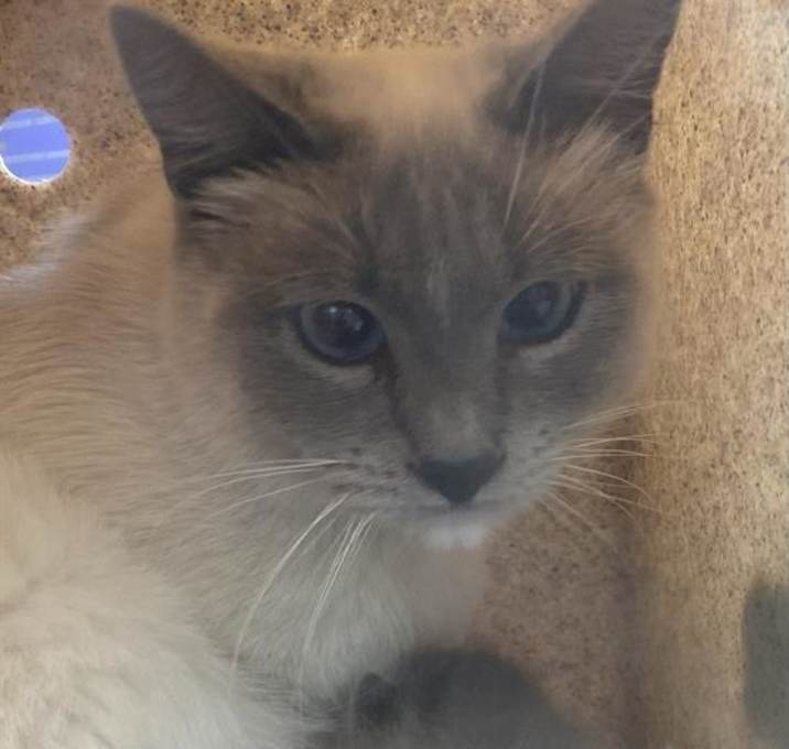 Photo of DIAMOND
