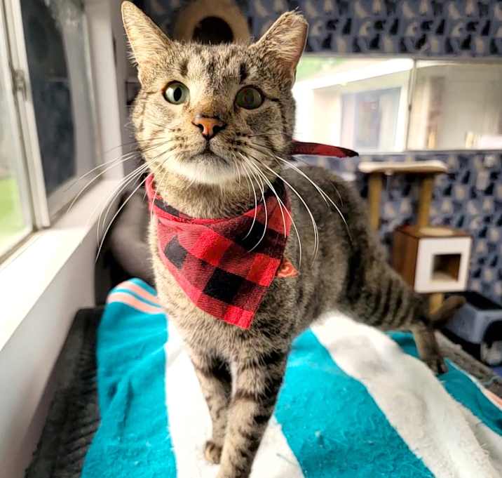 Photo of Teddy Bear (Cuddle me)
