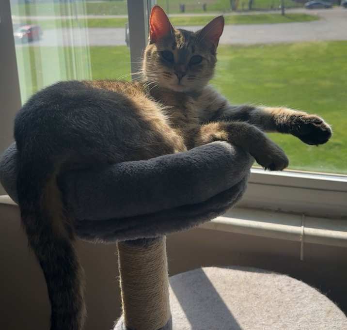 Photo of Nina