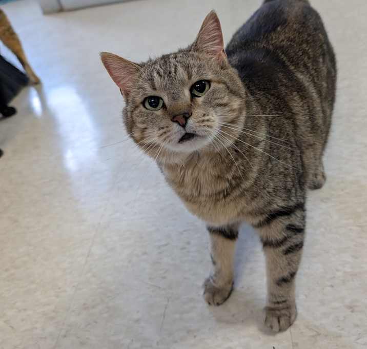Photo of Athena