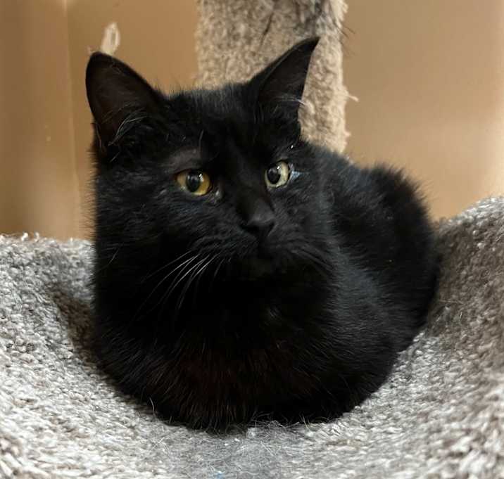 Photo of Binxx
