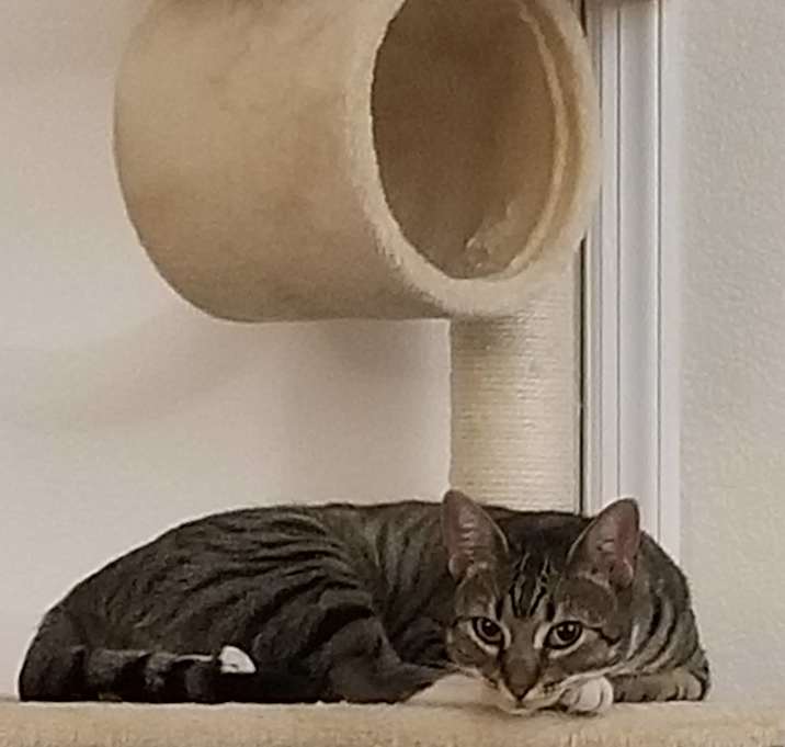 Photo of Lilly