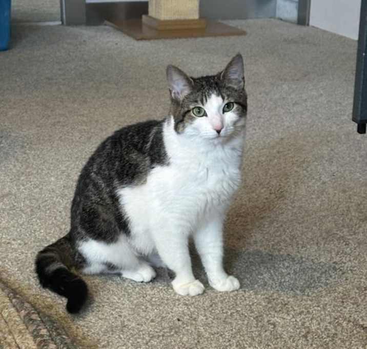 Photo of Mina
