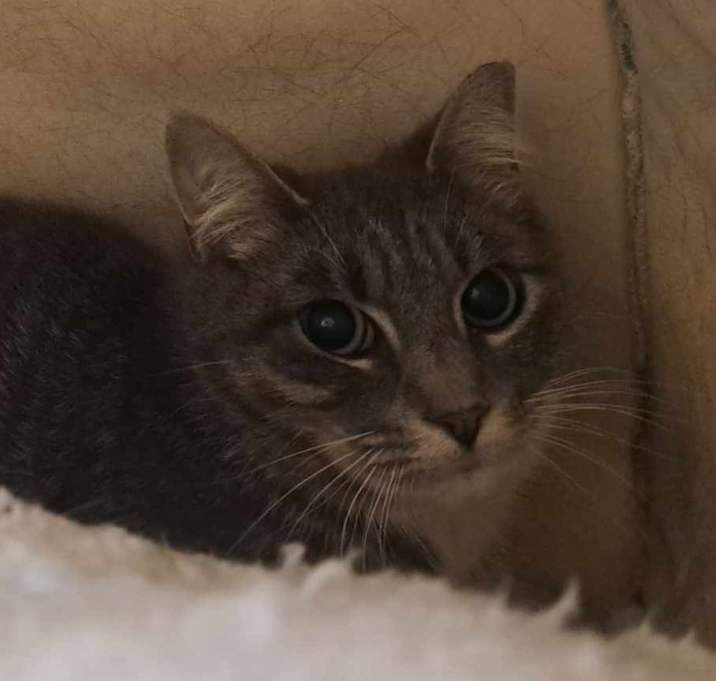 Photo of Disco