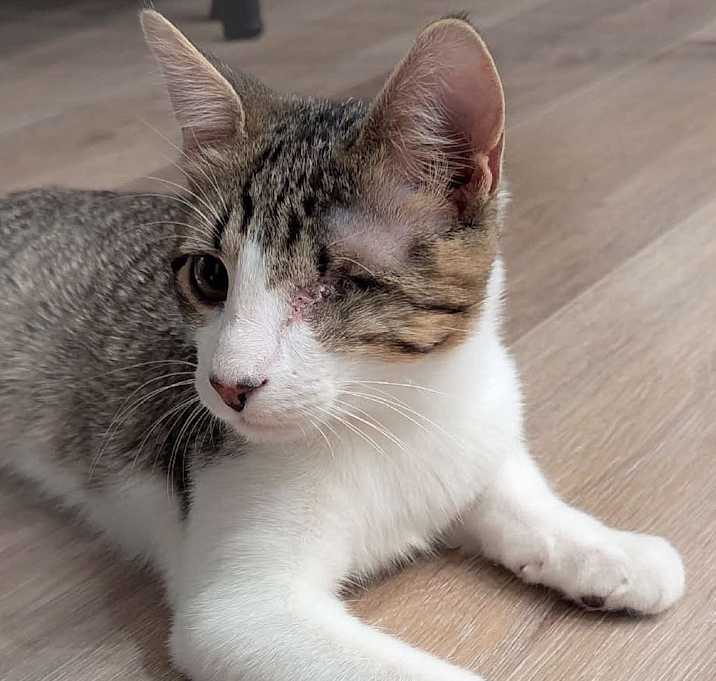 Photo of Reggie
