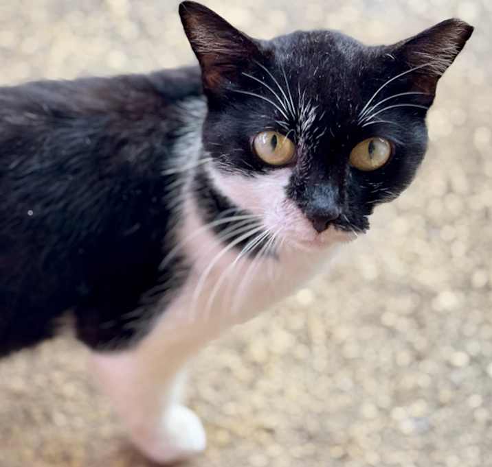 Photo of MS. PAMI PAM
