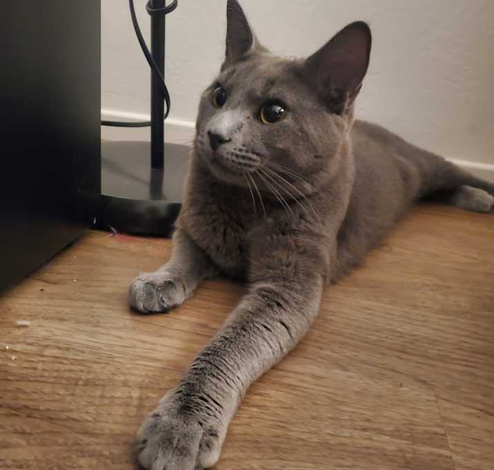 Photo of Moka