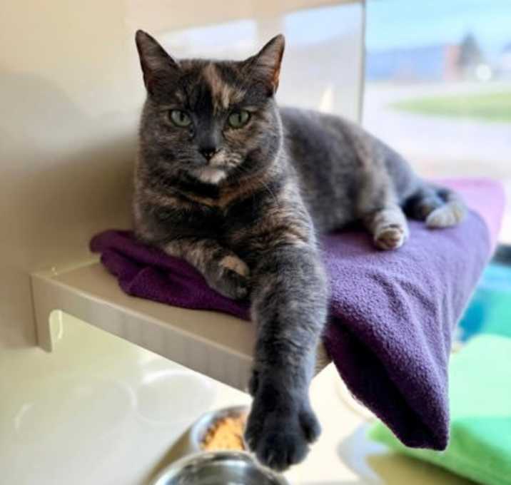 Photo of Marble