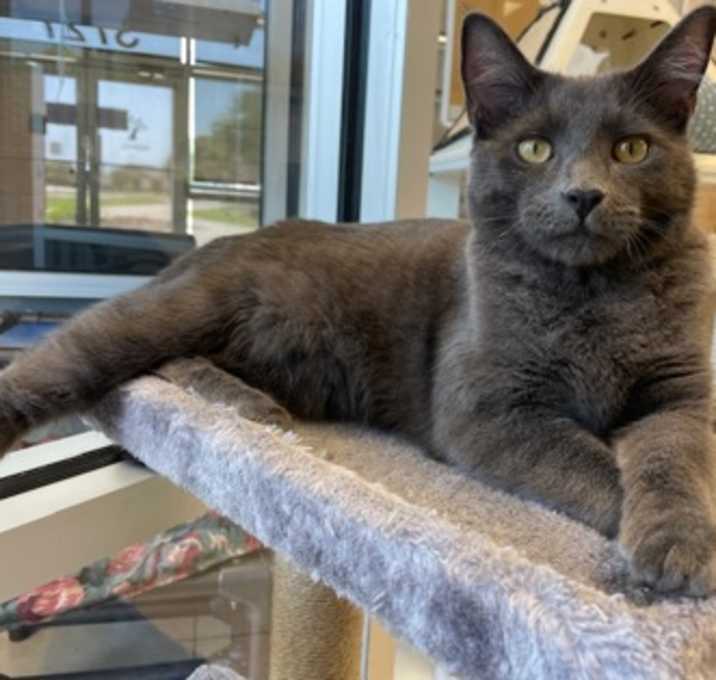 Photo of Max