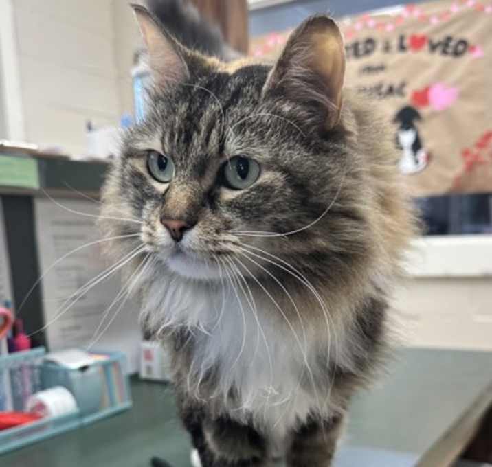 Photo of Annabelle