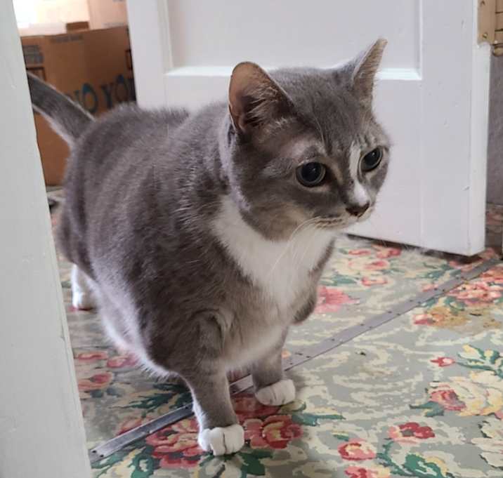Photo of Baby