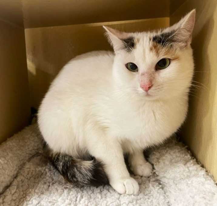 Photo of Penelope