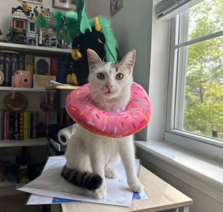 Photo of Opal