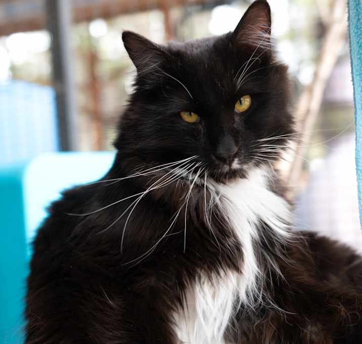 Photo of Sam