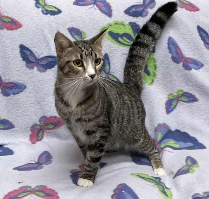 Photo of Wally