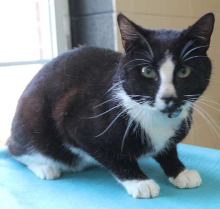 Photo of Puddles - 41458