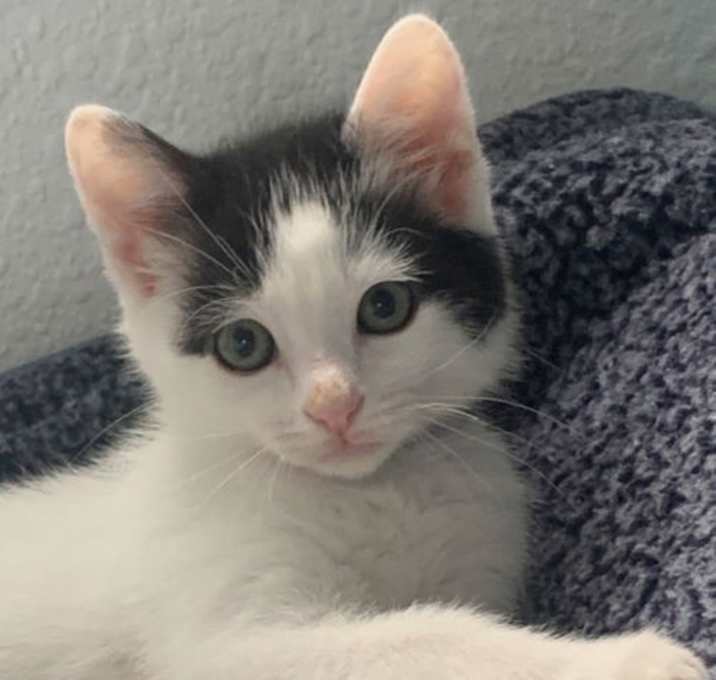Photo of Sammie