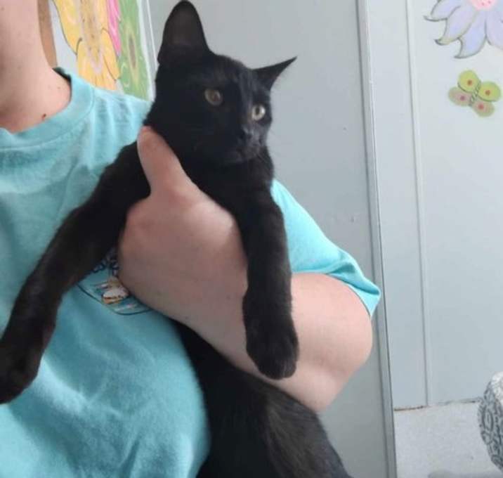 Photo of Ms Bagheera