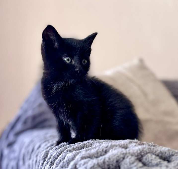 Photo of Finn