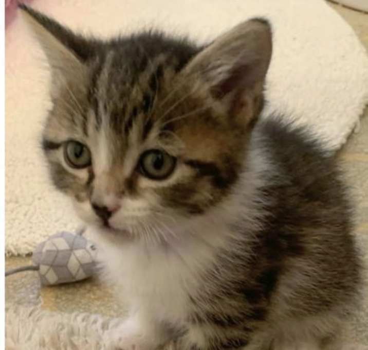 Photo of Hugo