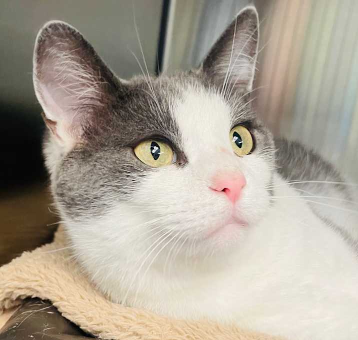 Photo of Louise