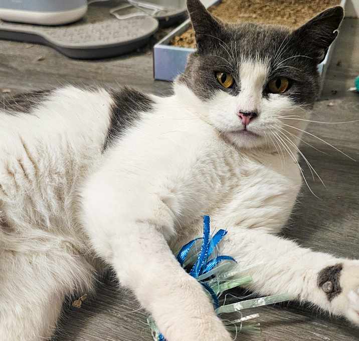 Photo of Castiel