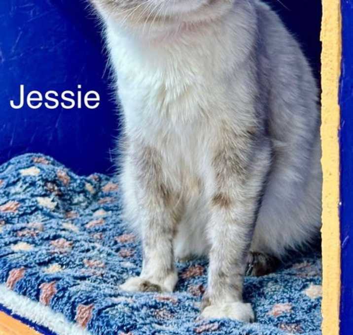 Photo of Jenny