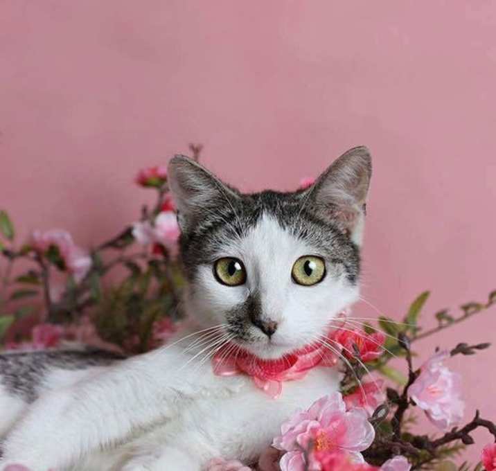 Photo of Betty