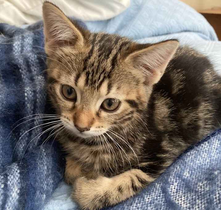 Photo of Jaxie