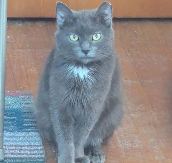 Photo of Truffle