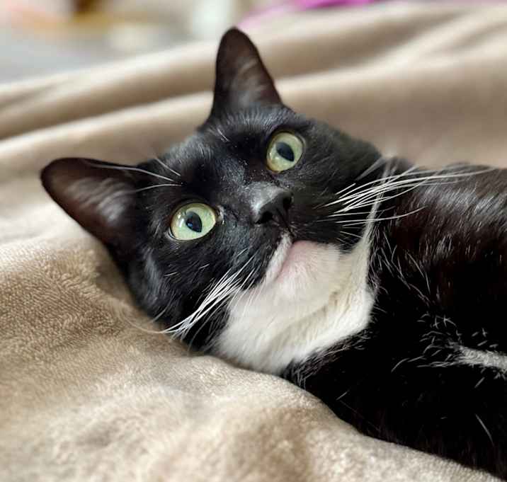 Photo of Kiki