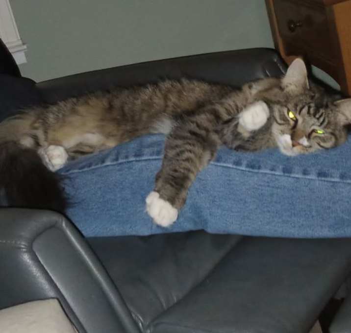 Photo of Tabitha