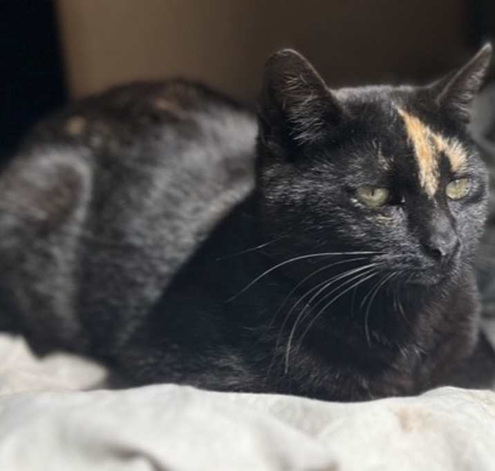 Photo of Caramel