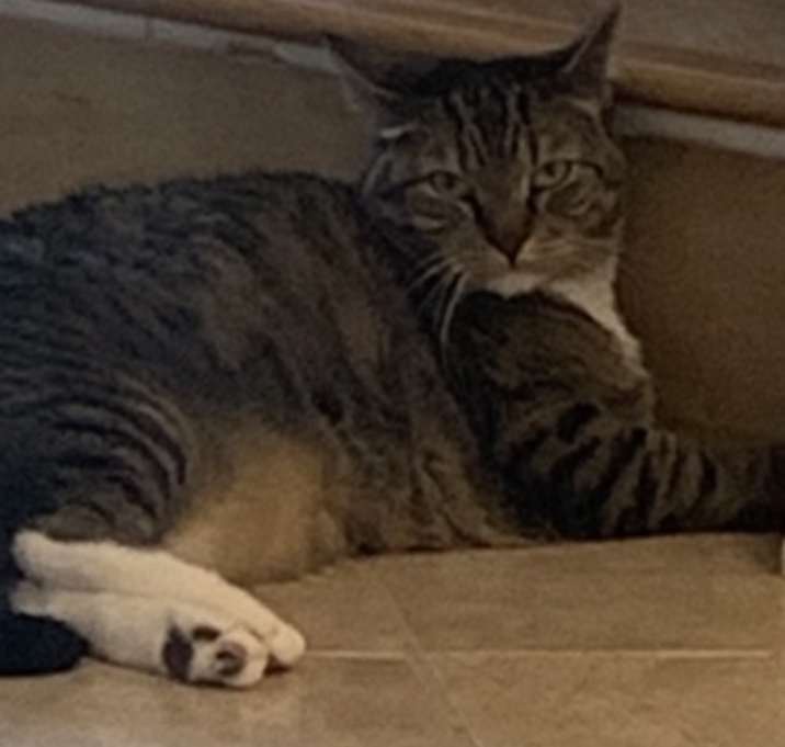 Photo of Beanie