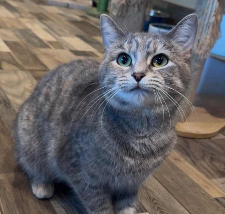 Photo of Allie