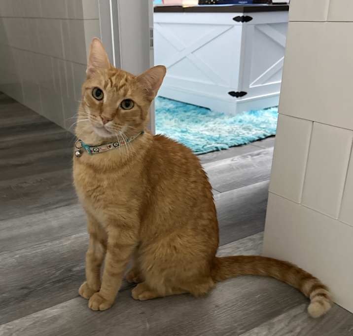 Photo of Lazlo