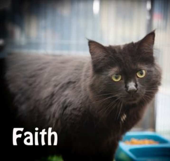 Photo of Faith