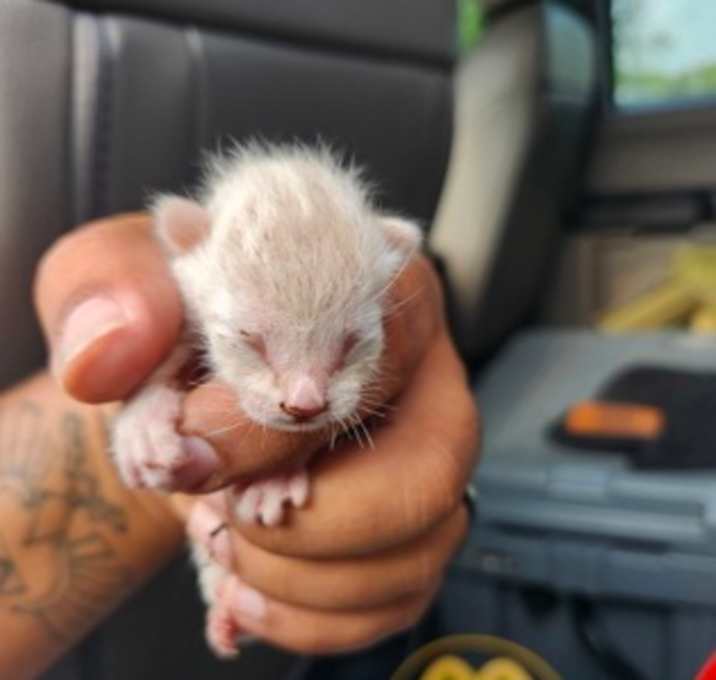 Photo of Whoopie