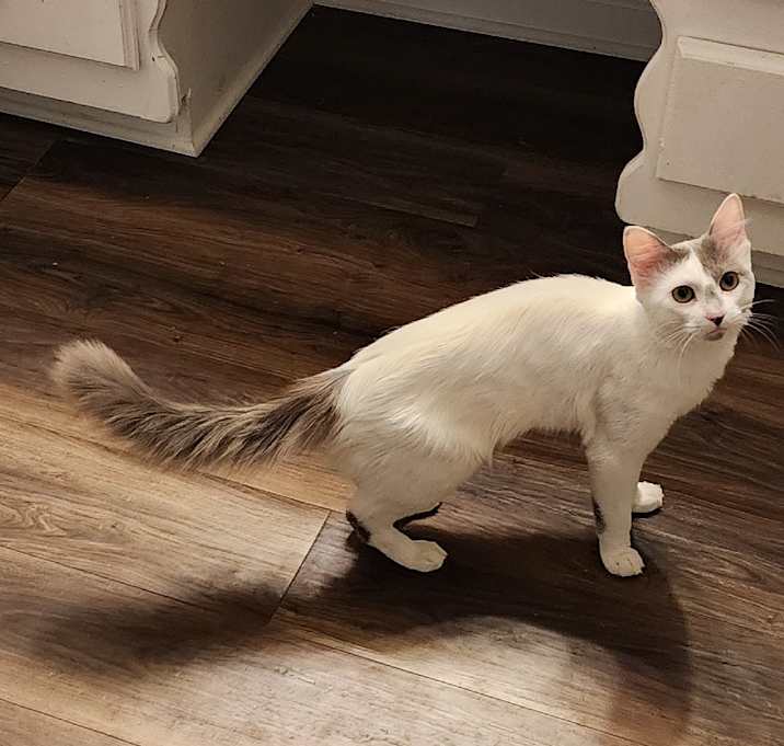 Photo of Asher