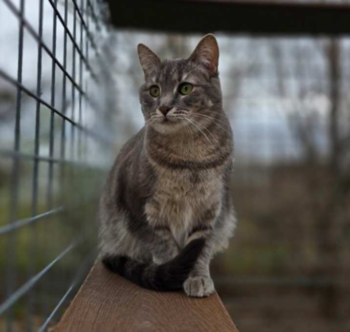 Photo of Skye